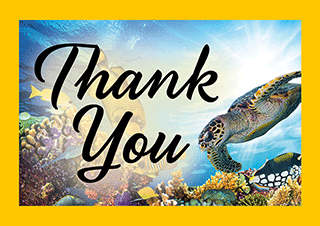 Thank You Tip Card: Turtle