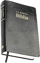 SBT Santa Biblia Mediana: TBS SPAB/EBK by RV 1602 Actualizada