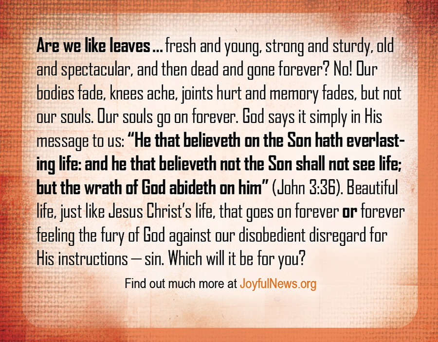 How Long Do We Have?