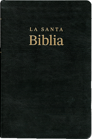 SBT Santa Biblia Letra Grande con Referencias: TBS SPABLP/EBK by Reina Valera SBT
