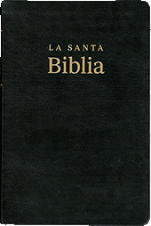 SBT Santa Biblia Letra Grande con Referencias: TBS SPABLP/EBK by Reina Valera SBT