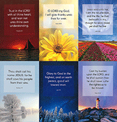 Scenic and Floral Scripture Correspondence Pack: 3x5 CFQ Set, Assorted Verses, Blank Inside by TBS