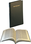 JND New Testament: 1927/2002 Abbreviated Notes Edition by Darby Translation