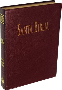 Spanish SBU Santa Biblia ABS Grande de Letra Gigante: ABS 106116 (RVR085) by RVR 1960