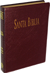 Spanish SBU Santa Biblia ABS Grande de Letra Gigante: ABS 106116 (RVR085) by RVR 1960