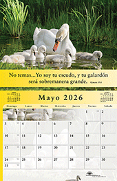 Image slide carousel