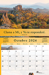 Image slide carousel