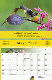 Image slide carousel