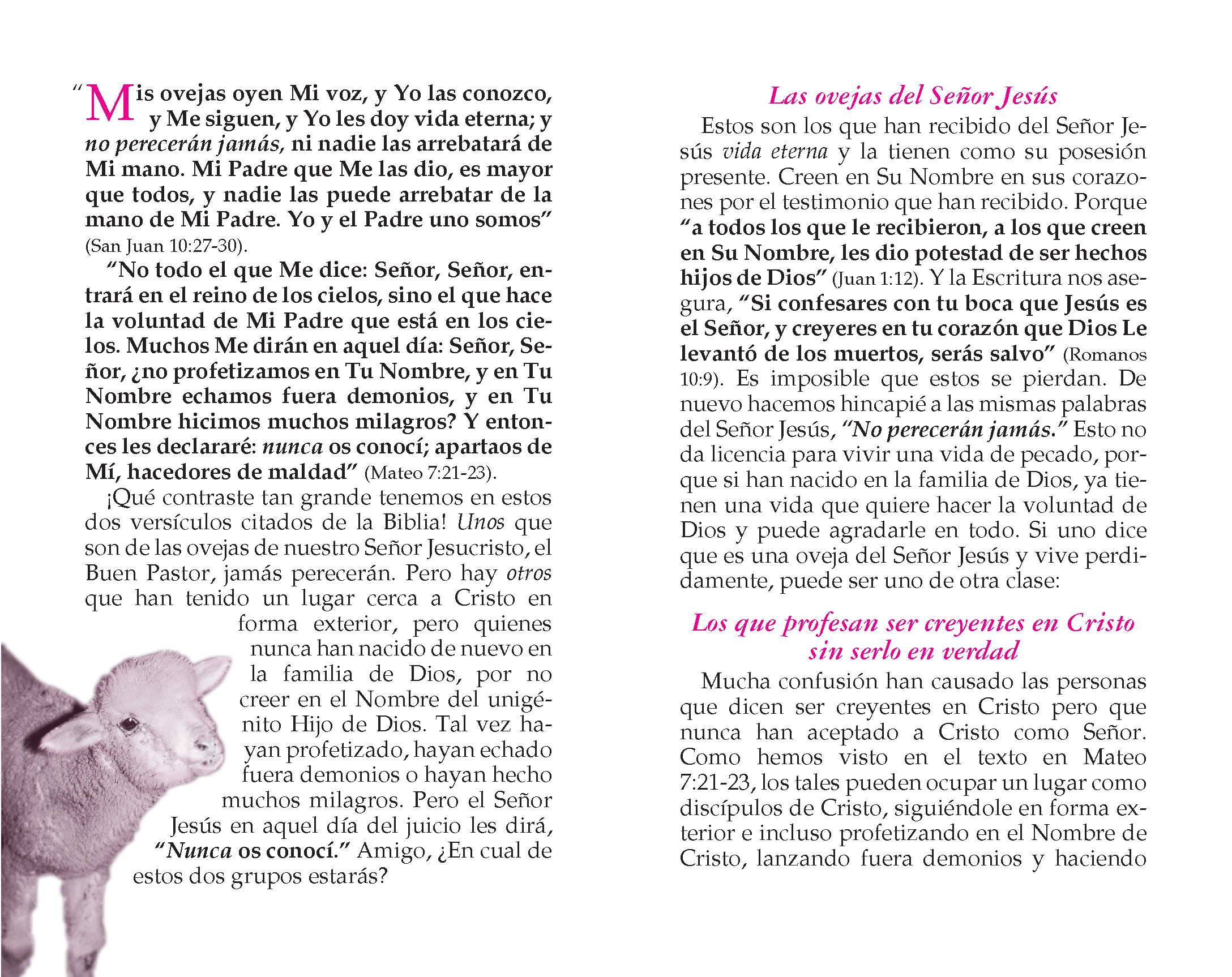 Page preview