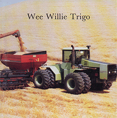 Spanish Wee Willie Trigo by Gladys M. Klassen