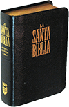 Spanish SBU Santa Biblia de Bolsillo: VB VR025 by RV 1909