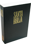 Spanish SBT Santa Biblia Pequeña de Bolsillo: Unilit 490847 by RV 1909