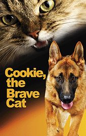 Cookie, the Brave Cat