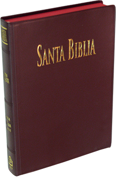 Spanish SBU Santa Biblia ABS Grande de Letra Gigante, RVR 1960 (#8348 ...