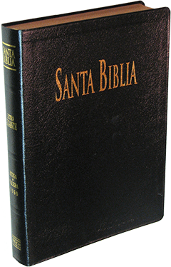 Spanish SBU Santa Biblia ABS Grande de Letra Gigante: ABS 105971 (RVR087) by RVR 1960