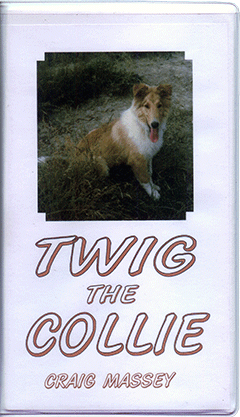 Twig the Collie by Craig Massey