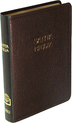 Spanish SBU Santa Biblia Mediana: Tamano Manual, ABS 113241 by RV 1909 — OUT OF PRINT. SUGGESTED SUBSTITUTE IS #8081.