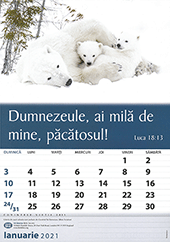 Romanian Words of Life Calendar by TBS