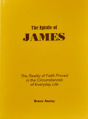 The Epistle of James: The Reality of Faith Proved in the Circumstances of Everyday Life by Stanley Bruce Anstey