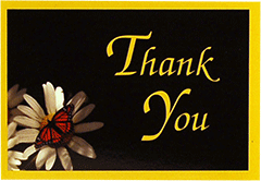 Thank You Tip Card: Butterfly & Daisy
