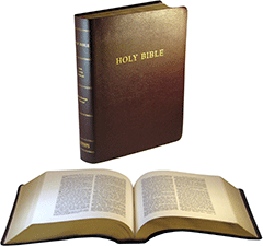 Hendrickson Large-Print Wide-Margin Verse Reference Bible: HWM BU by King James Version