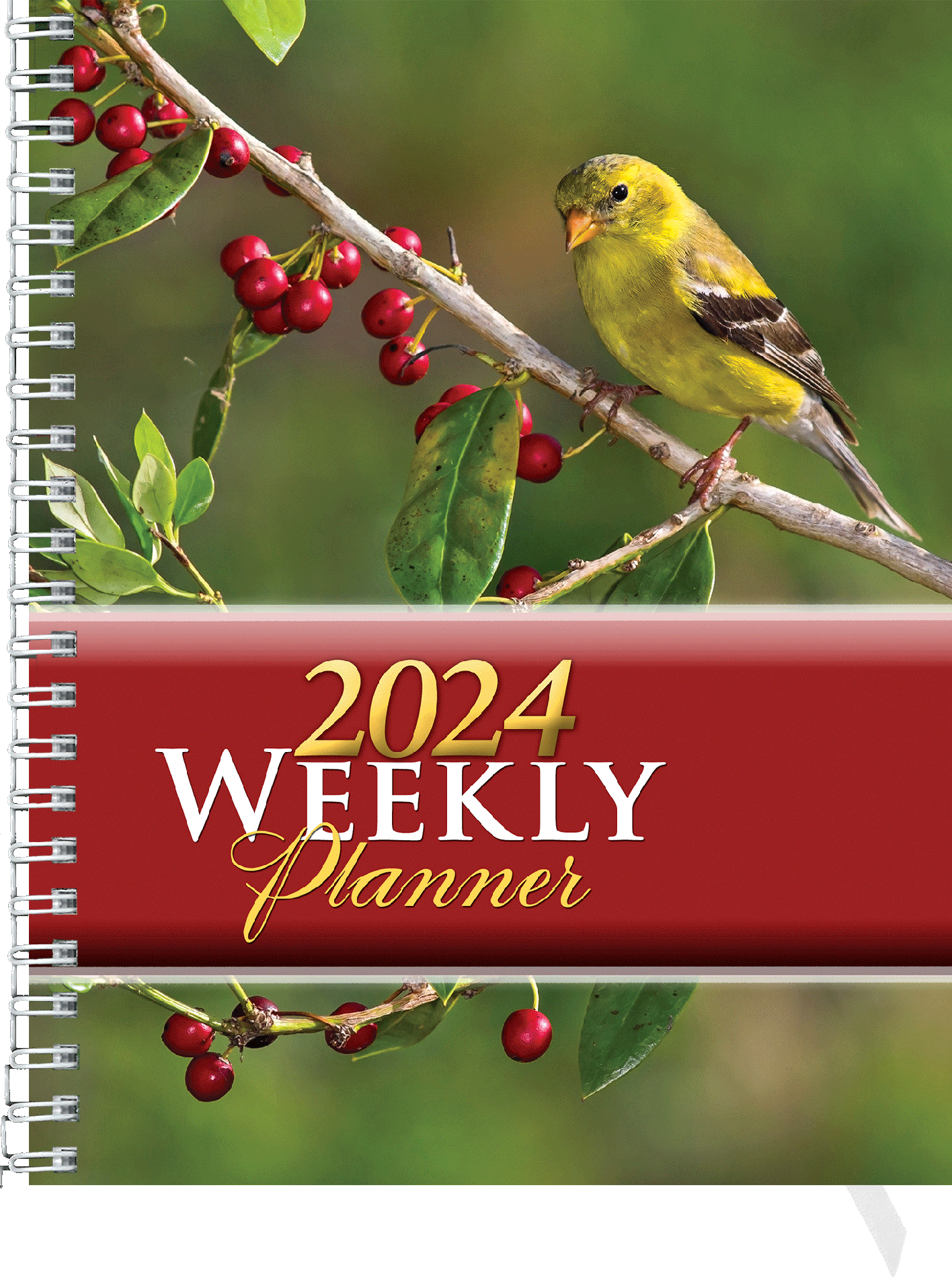 PW Weekly Planner, Hard Cover