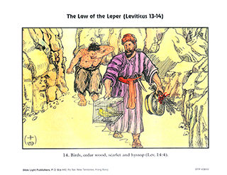 Law of the Leper - 14