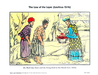Law of the Leper - 16