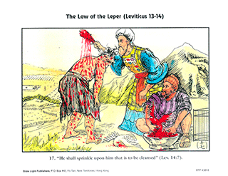 Law of the Leper - 17