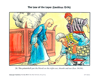 Law of the Leper - 28