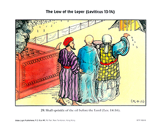 Law of the Leper - 29