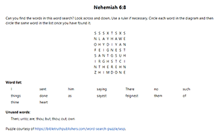 Nehemiah 6:8 Word Search Puzzle