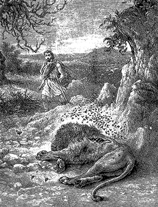 Samson and the Swarm of Bees