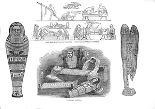 Egyptian Coffins