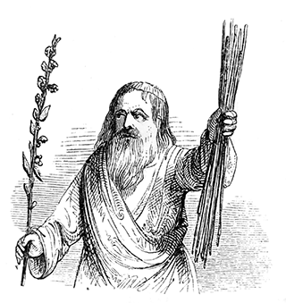 Moses brought the rods before the Lord