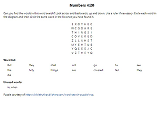 Numbers 4:20 Word Search Puzzle