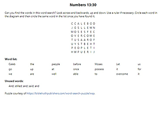 Numbers 13:30 Word Search Puzzle