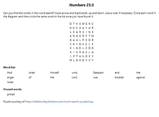 Numbers 25:3 Word Search Puzzle