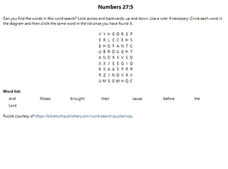 Numbers 27:5 Word Search Puzzle