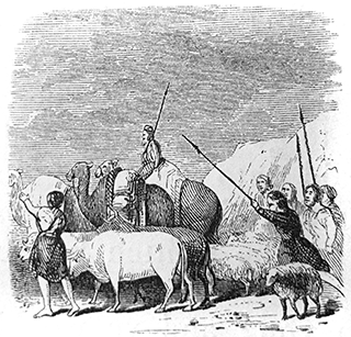 Only the cattle we took as prey