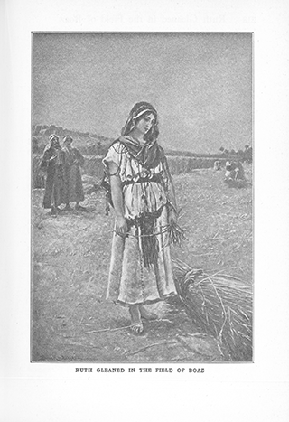 Ruth Gleaned in the Field of Boaz