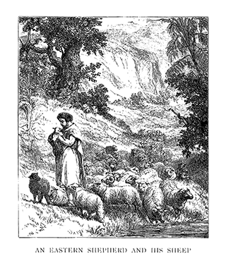 Eastern Shepherd and his Sheep