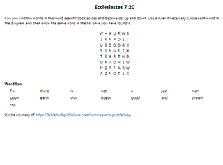 Ecclesiastes 7:20 Word Search Puzzle
