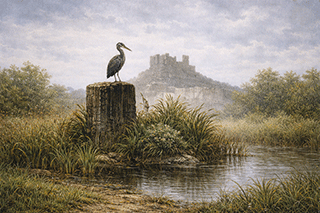 The Bittern
