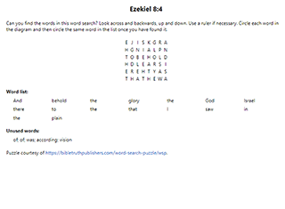Ezekiel 8:4 Word Search Puzzle