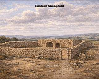 Eastern Sheepfold