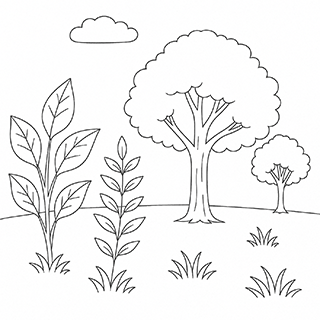 The Trees and Grass Created