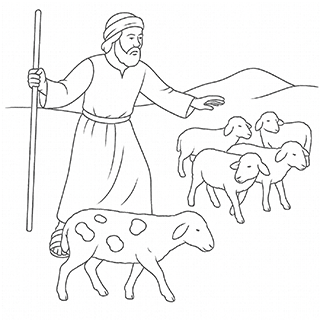Jacob separating the ring stracked sheep