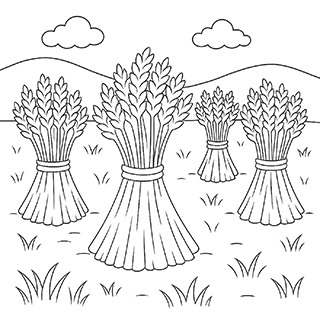 Sheaves in a field