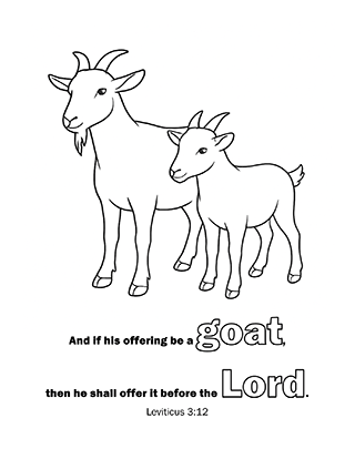 Goat
